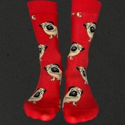 PERROS PUG