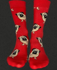 PERROS PUG