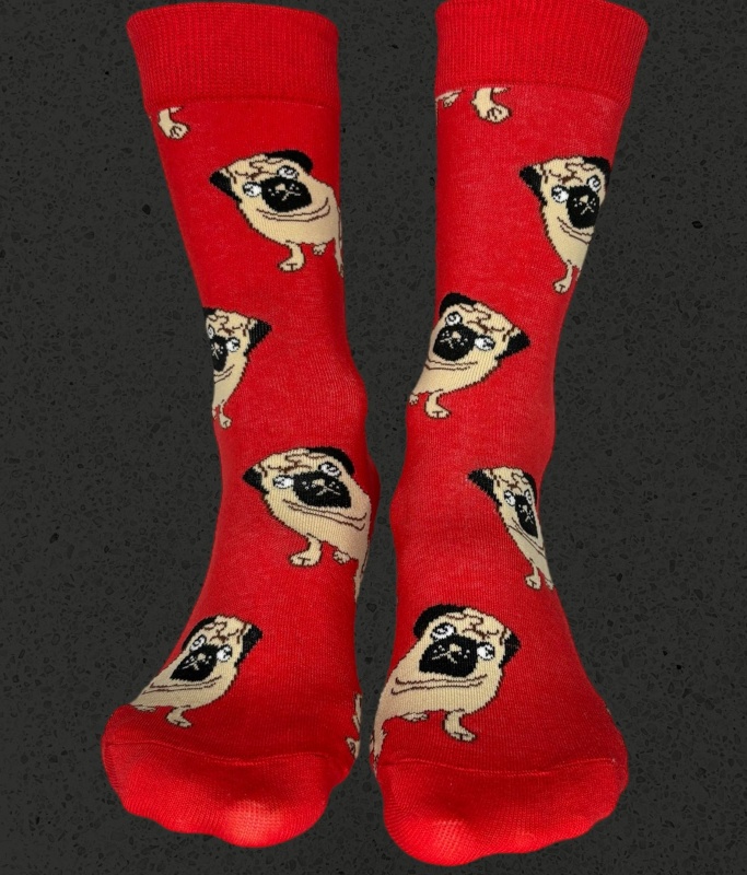 PERROS PUG