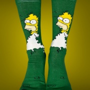 HOMERO EN ARBUSTOS