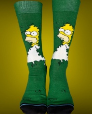 HOMERO EN ARBUSTOS
