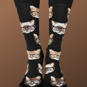 Gatos Lentes