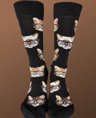Gatos Lentes