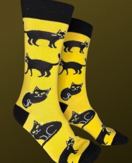 GATO NEGRO