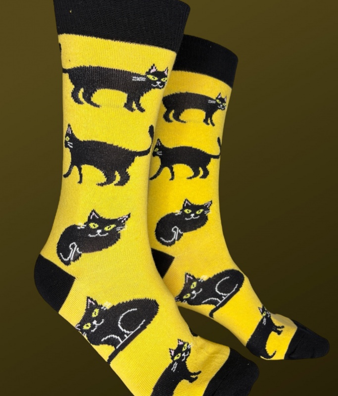 GATO NEGRO