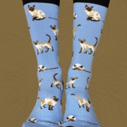 GATO SIAMES