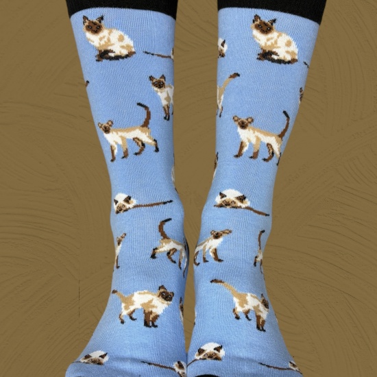 GATO SIAMES